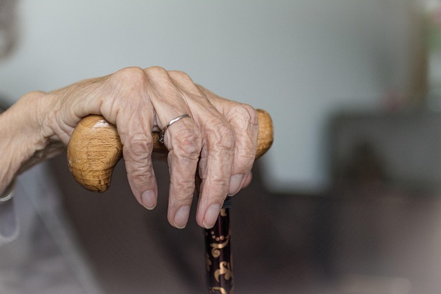 senior living plumbing