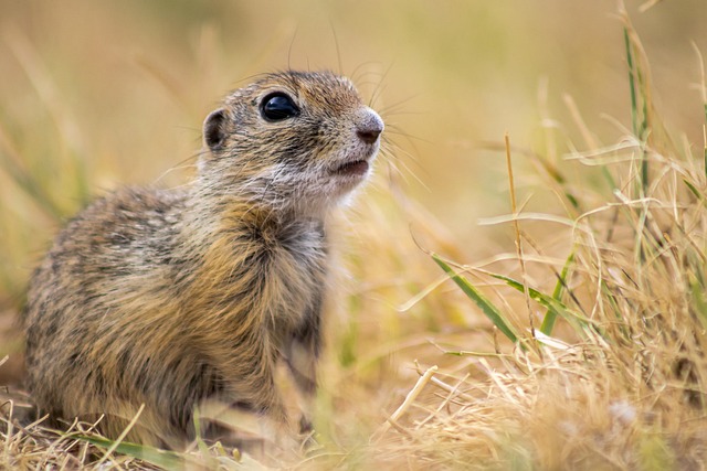 squirrel-hill-plumbing-640x480-68833462.jpeg