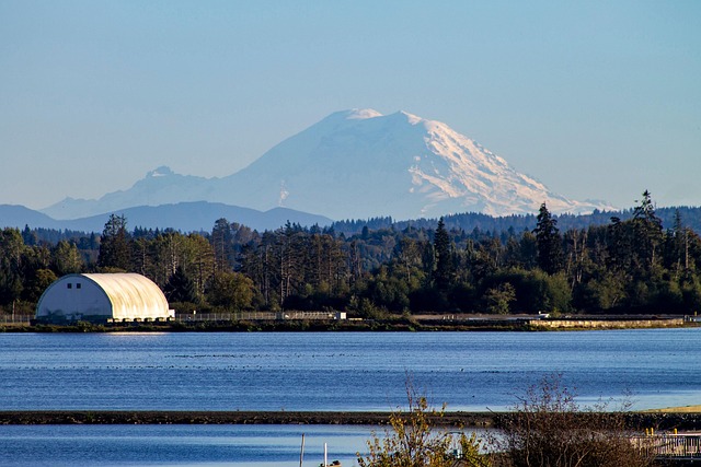 tacoma plumbing