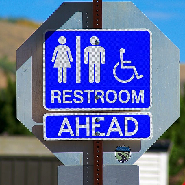 toilet troubleshooting