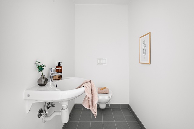 toilet troubleshooting