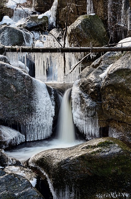 turkey creek plumbing