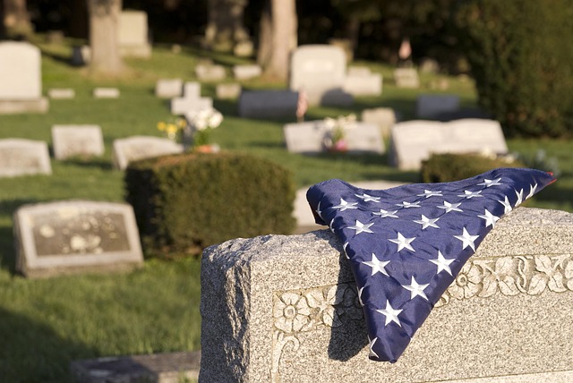 veteran owned plumbing