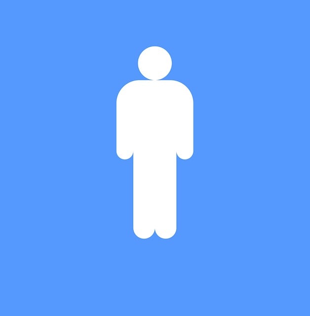 wall hung toilet