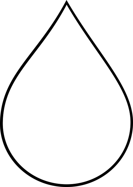 water heater element